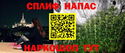 ешки Бердск