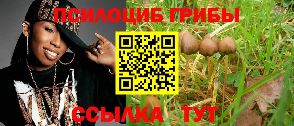 Новотроицк  Галлюциногенные грибы Magic Shrooms  Вход с VPN 